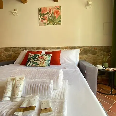 Viaggiare Smart Wi-fi, Tv Hd, Spazio Di Lavoro, Parcheggio Gratuito Nella Struttura, * Capannori